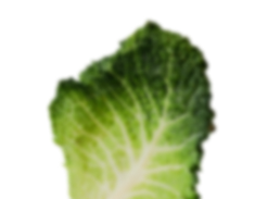 cabbage
